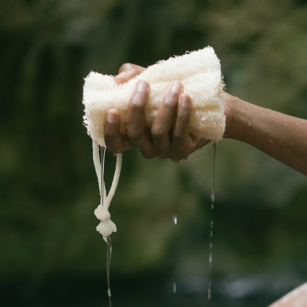 CENTRAL COAST LUFFA || BATHING CULTURE