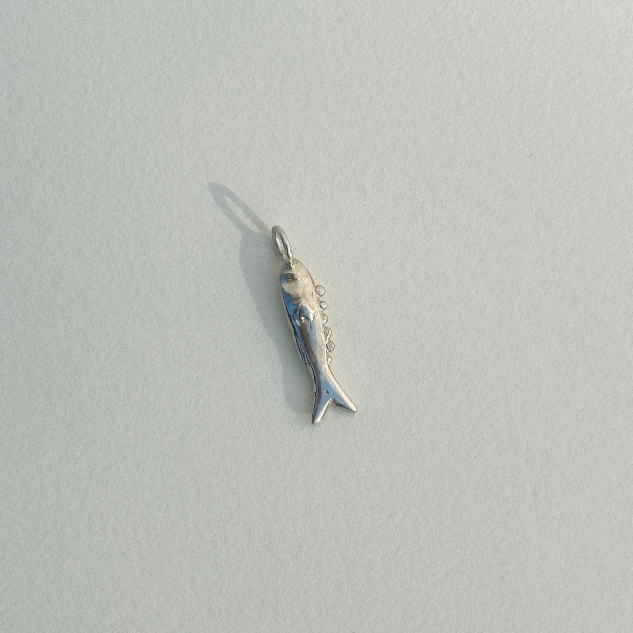 WEIRD FISHES CHARM || PEYTON RABBITT