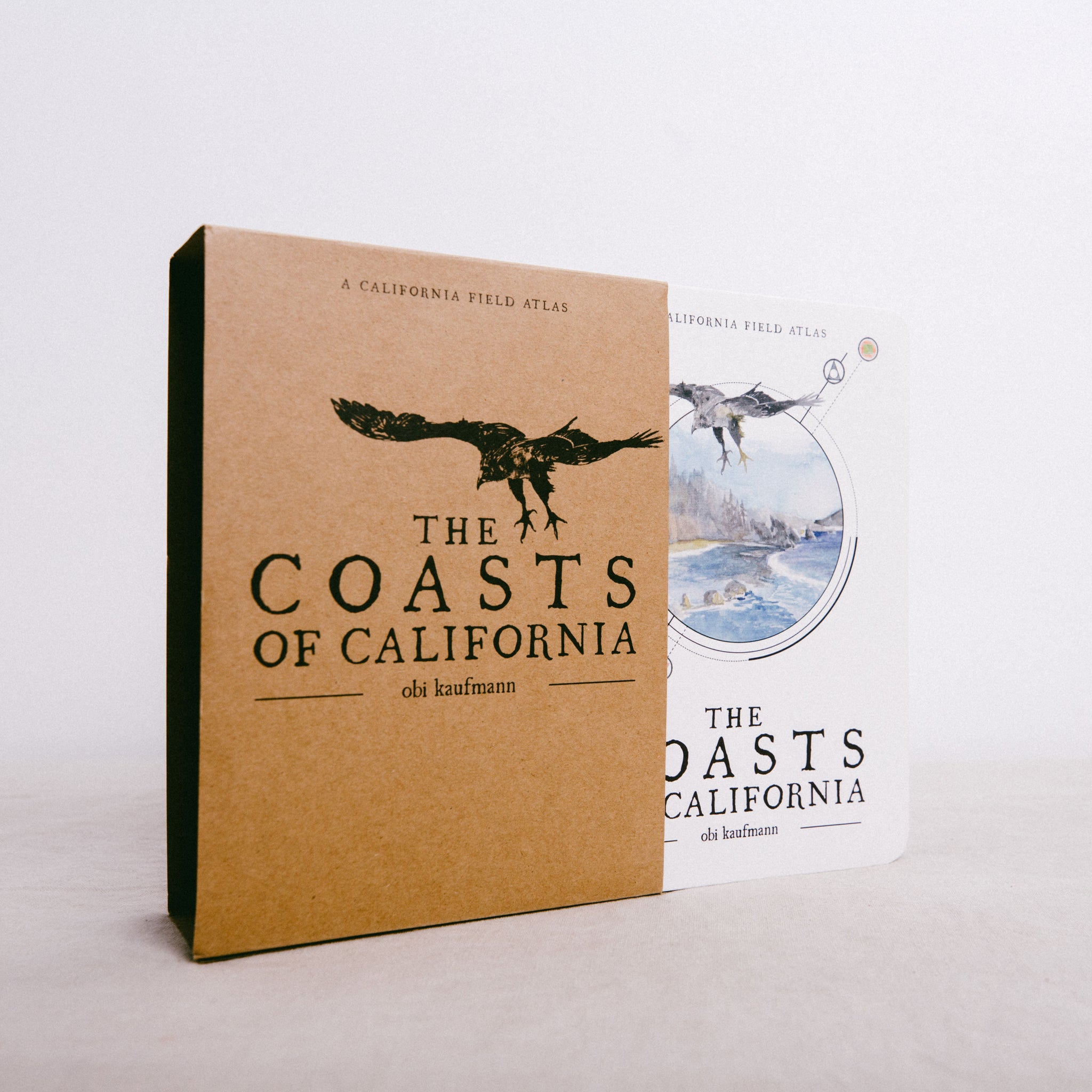 THE COASTS OF CALIFORNIA || OBI KAUFMANN