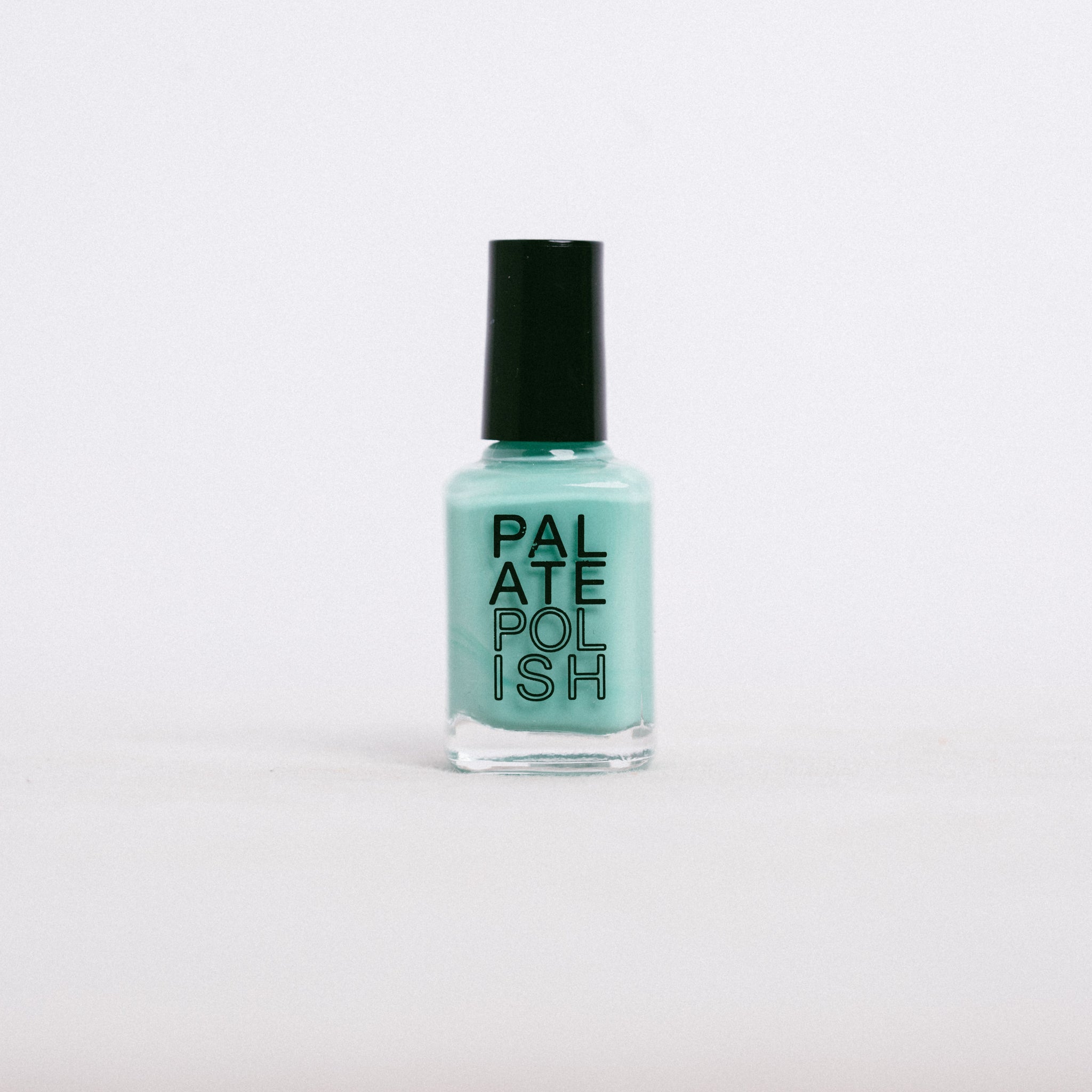 NAIL POLISH || PALATE