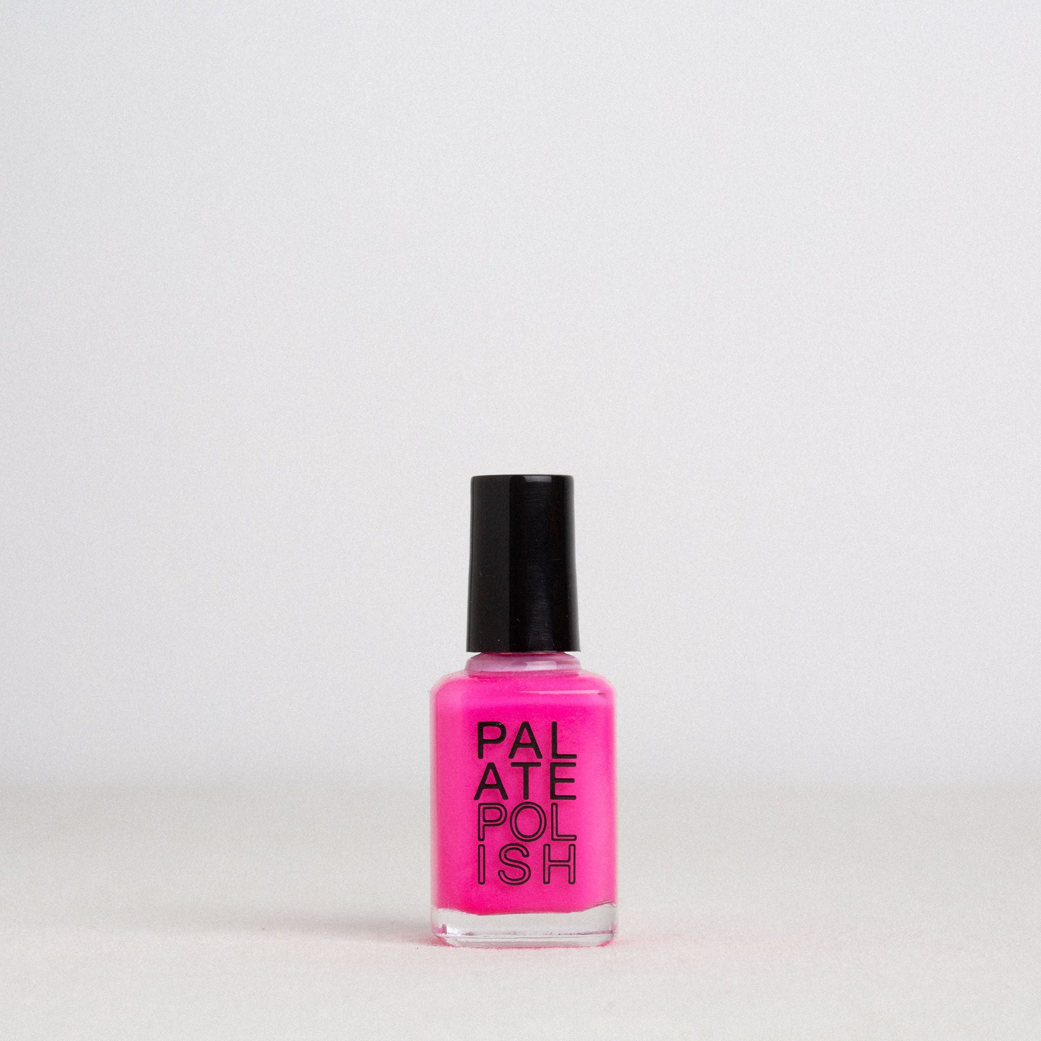 NAIL POLISH || PALATE