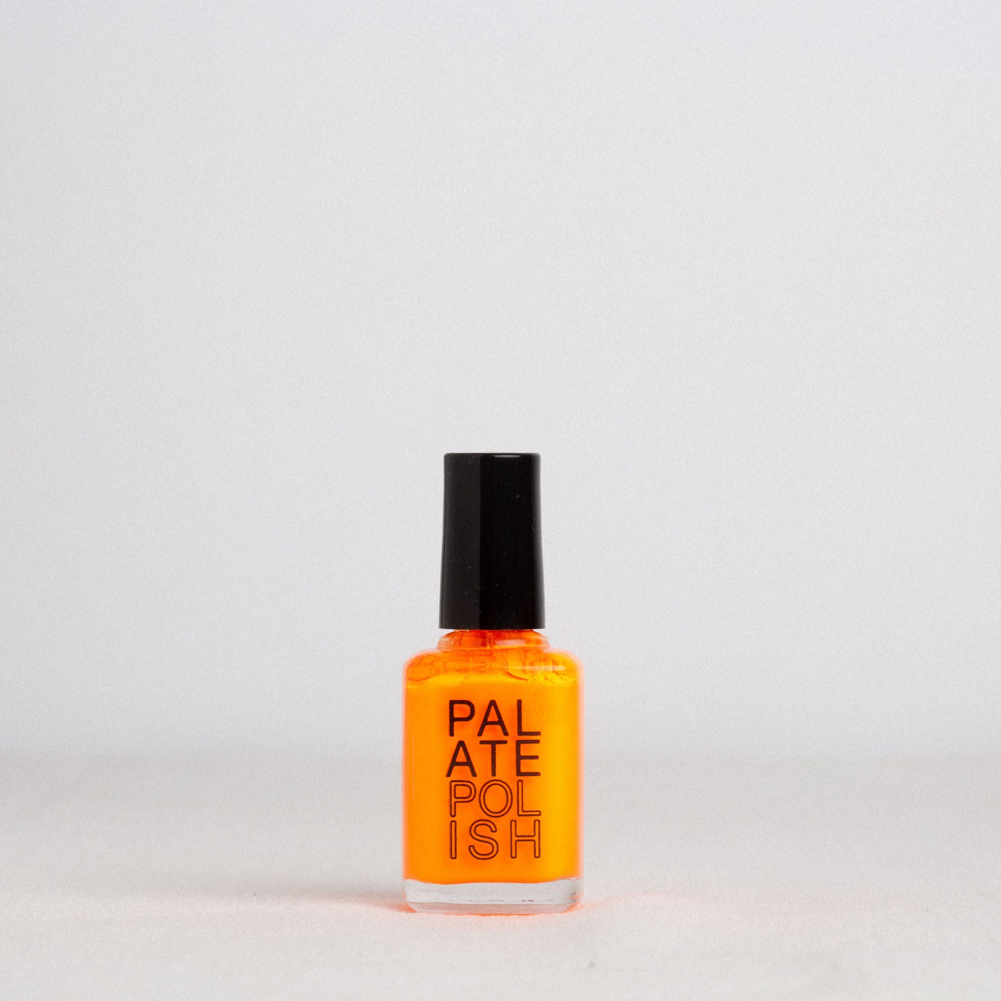 NAIL POLISH || PALATE